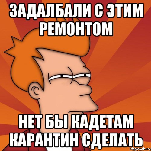 задалбали с этим ремонтом нет бы кадетам карантин сделать, Мем Мне кажется или (Фрай Футурама)