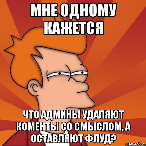 мне одному кажется что админы удаляют коменты со смыслом, а оставляют флуд?, Мем Мне кажется или (Фрай Футурама)