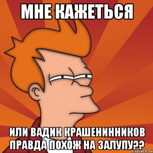 мне кажеться или вадик крашенинников правда похож на залупу??, Мем Мне кажется или (Фрай Футурама)