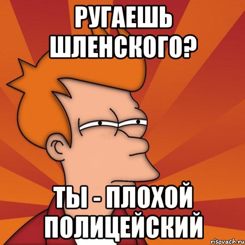 ругаешь шленского? ты - плохой полицейский, Мем Мне кажется или (Фрай Футурама)