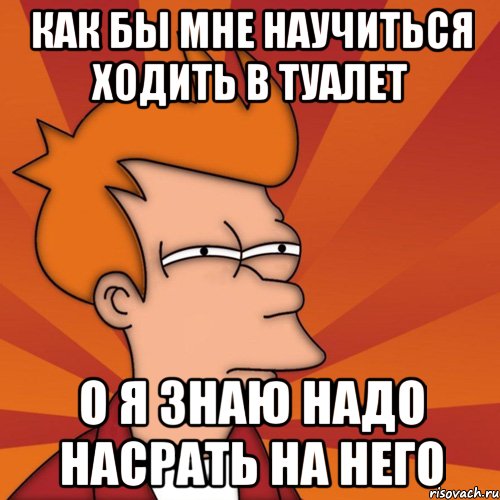 как бы мне научиться ходить в туалет о я знаю надо насрать на него, Мем Мне кажется или (Фрай Футурама)