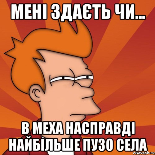 мені здаєть чи... в меха насправді найбільше пузо села, Мем Мне кажется или (Фрай Футурама)