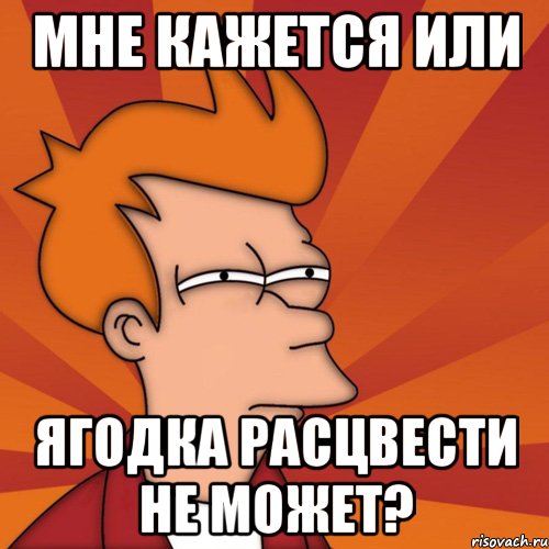 мне кажется или ягодка расцвести не может?, Мем Мне кажется или (Фрай Футурама)