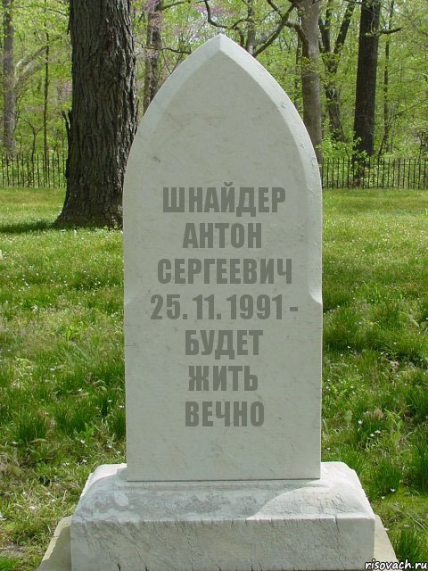 ШНАЙДЕР АНТОН СЕРГЕЕВИЧ 25. 11. 1991 - БУДЕТ ЖИТЬ ВЕЧНО, Комикс  Надгробие