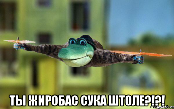  ты жиробас сука штоле?!?!