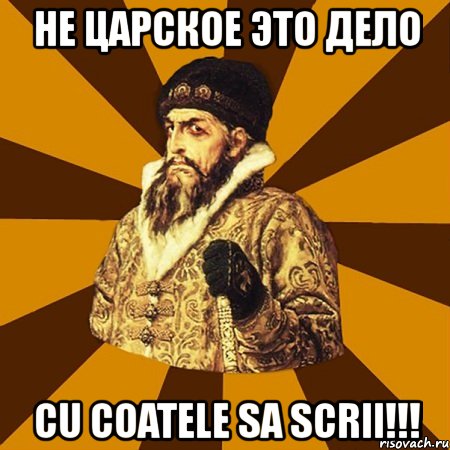 не царское это дело cu coatele sa scrii!!!, Мем Не царское это дело