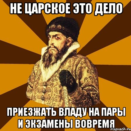 не царское это дело приезжать владу на пары и экзамены вовремя, Мем Не царское это дело