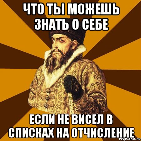 что ты можешь знать о себе если не висел в списках на отчисление, Мем Не царское это дело