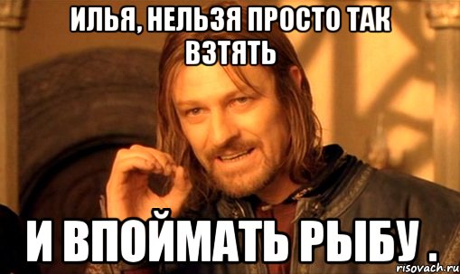 илья, нельзя просто так взтять и впоймать рыбу ., Мем Нельзя просто так взять и (Боромир мем)