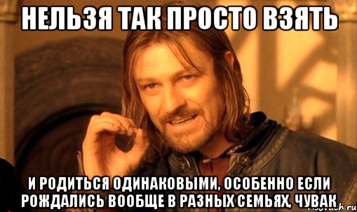 нельзя так просто взять и родиться одинаковыми, особенно если рождались вообще в разных семьях, чувак, Мем Нельзя просто так взять и (Боромир мем)