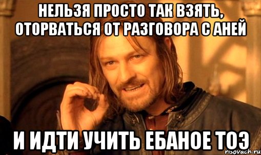 нельзя просто так взять, оторваться от разговора с аней и идти учить ебаное тоэ, Мем Нельзя просто так взять и (Боромир мем)
