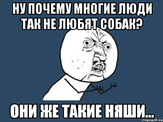 ну почему многие люди так не любят собак? они же такие няши..., Мем Ну почему