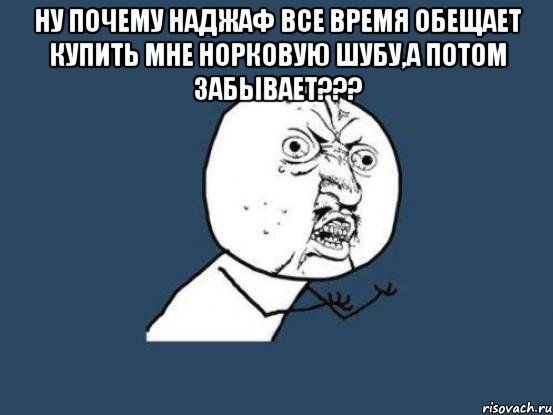 ну почему наджаф все время обещает купить мне норковую шубу,а потом забывает??? , Мем Ну почему