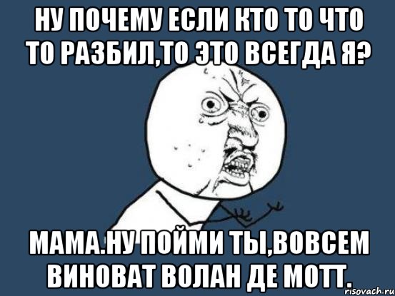 ну почему если кто то что то разбил,то это всегда я? мама.ну пойми ты,вовсем виноват волан де мотт., Мем Ну почему