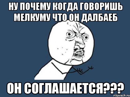 ну почему когда говоришь мелкуму что он далбаеб он соглашается???, Мем Ну почему