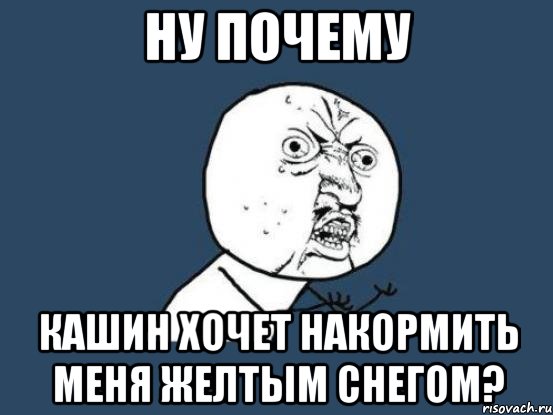 ну почему кашин хочет накормить меня желтым снегом?, Мем Ну почему