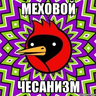 меховой чесанизм, Мем Омская птица