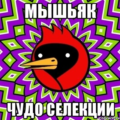 мышьяк чудо селекции, Мем Омская птица