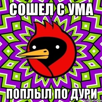 сошел с ума поплыл по дури, Мем Омская птица