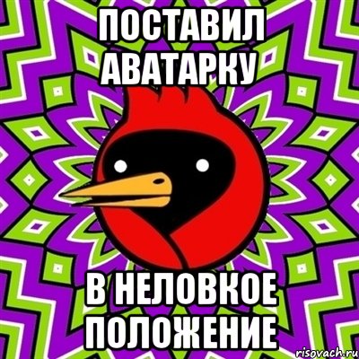 поставил аватарку в неловкое положение, Мем Омская птица