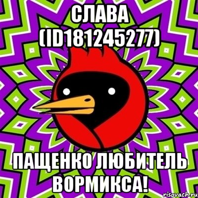 слава (id181245277) пащенко любитель вормикса!, Мем Омская птица
