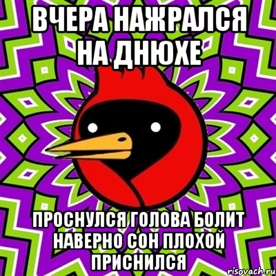 вчера нажрался на днюхе проснулся голова болит наверно сон плохой приснился, Мем Омская птица