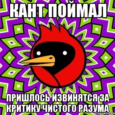 кант поймал пришлось извинятся за критику чистого разума, Мем Омская птица