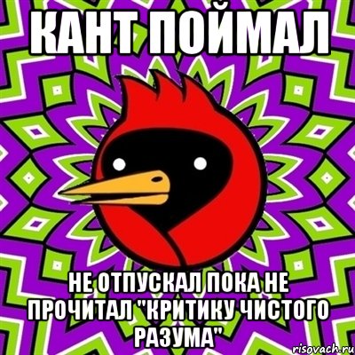 кант поймал не отпускал пока не прочитал "критику чистого разума", Мем Омская птица