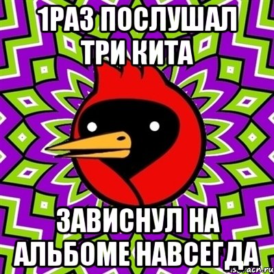 1раз послушал три кита зависнул на альбоме навсегда, Мем Омская птица