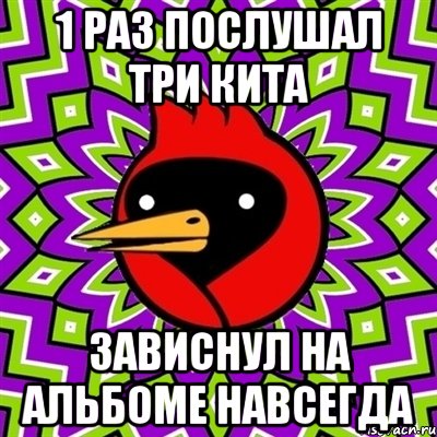 1 раз послушал три кита зависнул на альбоме навсегда, Мем Омская птица