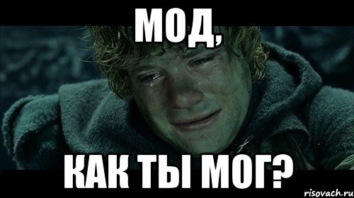 мод, как ты мог?, Мем они ушли