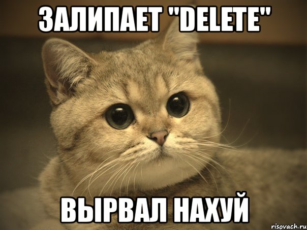 залипает "delete" вырвал нахуй, Мем Пидрила ебаная котик