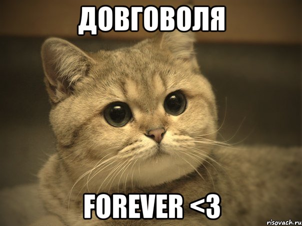 довговоля forever <3, Мем Пидрила ебаная котик