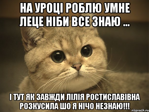 на уроці роблю умне леце ніби все знаю ... і тут як завжди лілія ростиславівна розкусила шо я нічо незнаю!!!, Мем Пидрила ебаная котик