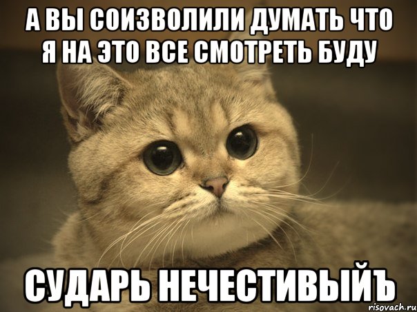 а вы соизволили думать что я на это все смотреть буду сударь нечестивыйъ, Мем Пидрила ебаная котик