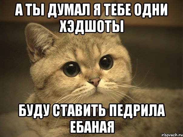 а ты думал я тебе одни хэдшоты буду ставить педрила ебаная, Мем Пидрила ебаная котик