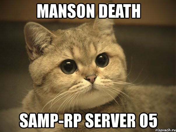 manson death samp-rp server 05, Мем Пидрила ебаная котик