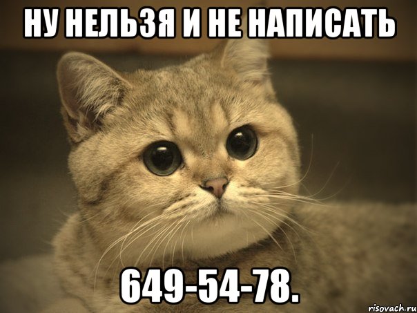 ну нeльзя и нe нaписaть 649-54-78., Мем Пидрила ебаная котик