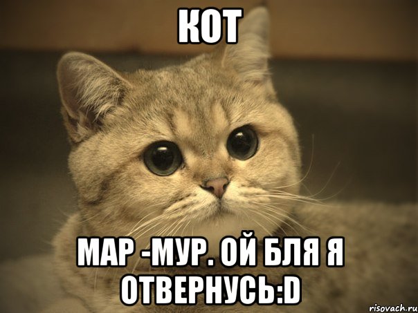 кот мар -мур. ой бля я отвернусь:d, Мем Пидрила ебаная котик