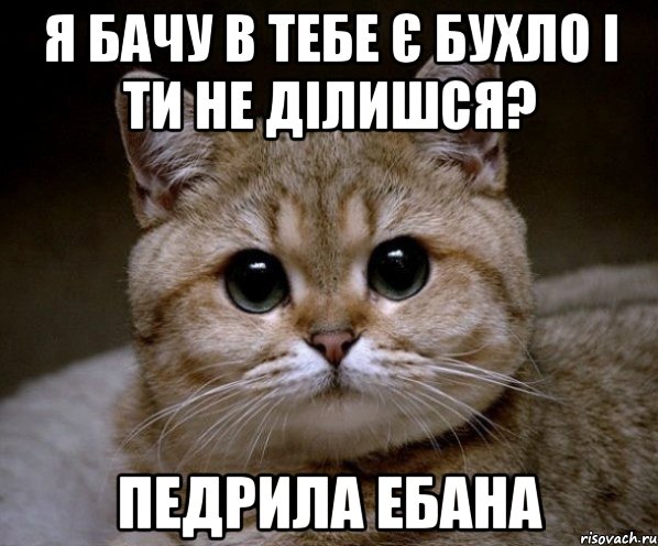 я бачу в тебе є бухло і ти не ділишся? педрила ебана, Мем Пидрила Ебаная