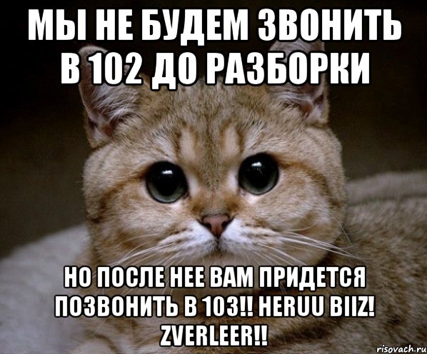 мы не будем звонить в 102 до разборки но после нее вам придется позвонить в 103!! heruu biiz! zverleer!!, Мем Пидрила Ебаная