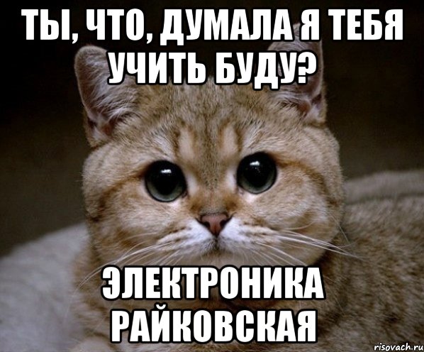 ты, что, думала я тебя учить буду? электроника райковская, Мем Пидрила Ебаная