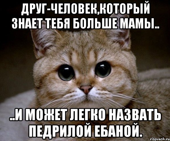 друг-человек,который знает тебя больше мамы.. ..и может легко назвать педрилой ебаной., Мем Пидрила Ебаная