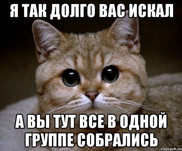 я так долго вас искал а вы тут все в одной группе собрались, Мем Пидрила Ебаная