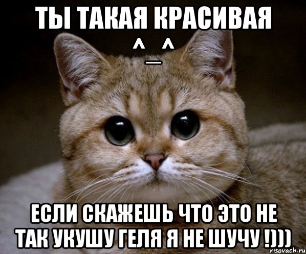 ты такая красивая ^_^ если скажешь что это не так укушу геля я не шучу !))), Мем Пидрила Ебаная