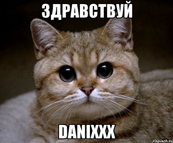 здравствуй danixxx, Мем Пидрила Ебаная