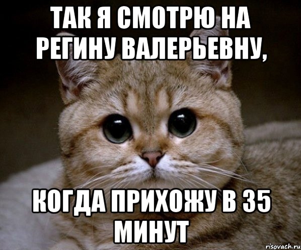 так я смотрю на регину валерьевну, когда прихожу в 35 минут, Мем Пидрила Ебаная