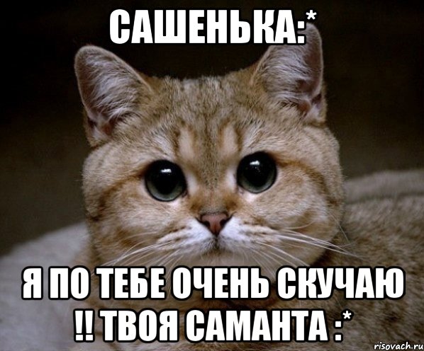 сашенька:* я по тебе очень скучаю !! твоя саманта :*, Мем Пидрила Ебаная