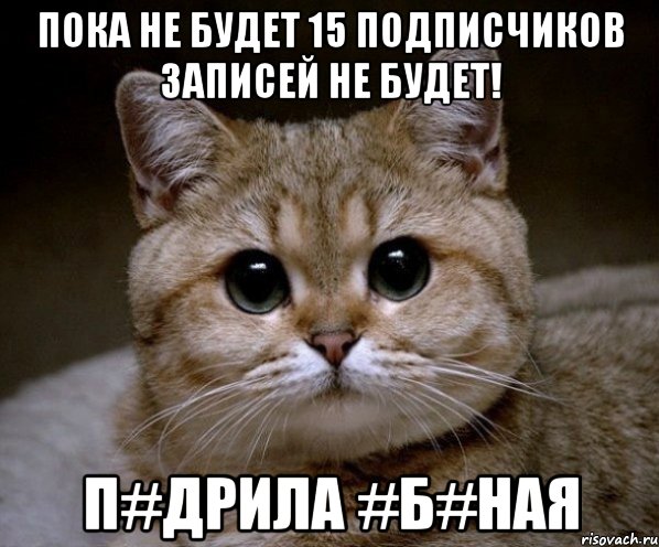 пока не будет 15 подписчиков записей не будет! п#дрила #б#ная, Мем Пидрила Ебаная