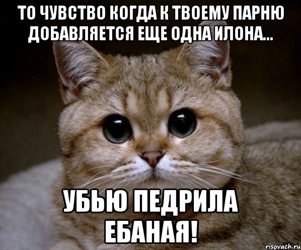 то чувство когда к твоему парню добавляется еще одна илона... убью педрила ебаная!, Мем Пидрила Ебаная